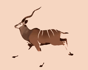 Gif animé antilope court